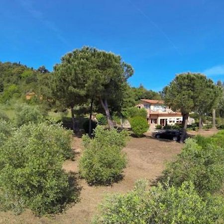 Villa Vanna Trilo -Quadrilocale Capoliveri  Eksteriør billede